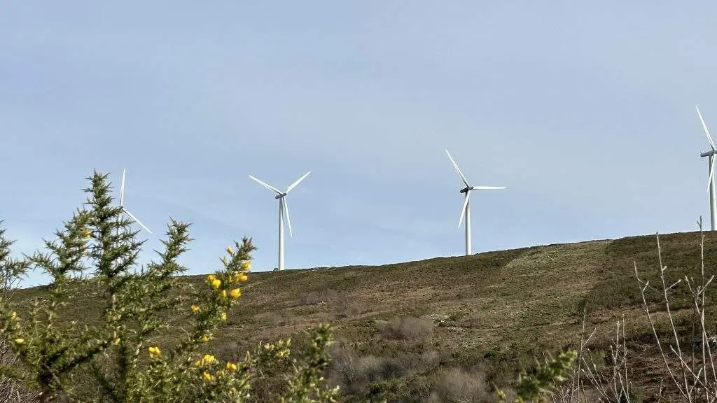 Pol&iacute;gono e&oacute;lico na Serra do Su&iacute;do. (Foto: N. B.).