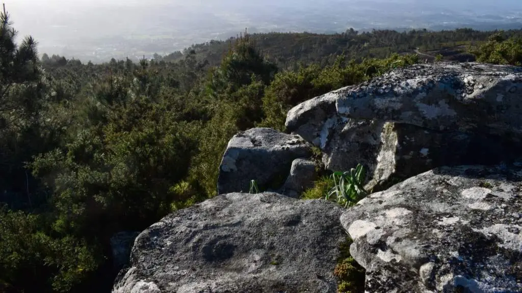 Petr&oacute;glifo de c&iacute;rculos conc&eacute;ntricos e p&iacute;a cadrada, bens identificados pola veci&ntilde;anza no monte Acibal. (Foto: N&oacute;s Diario)