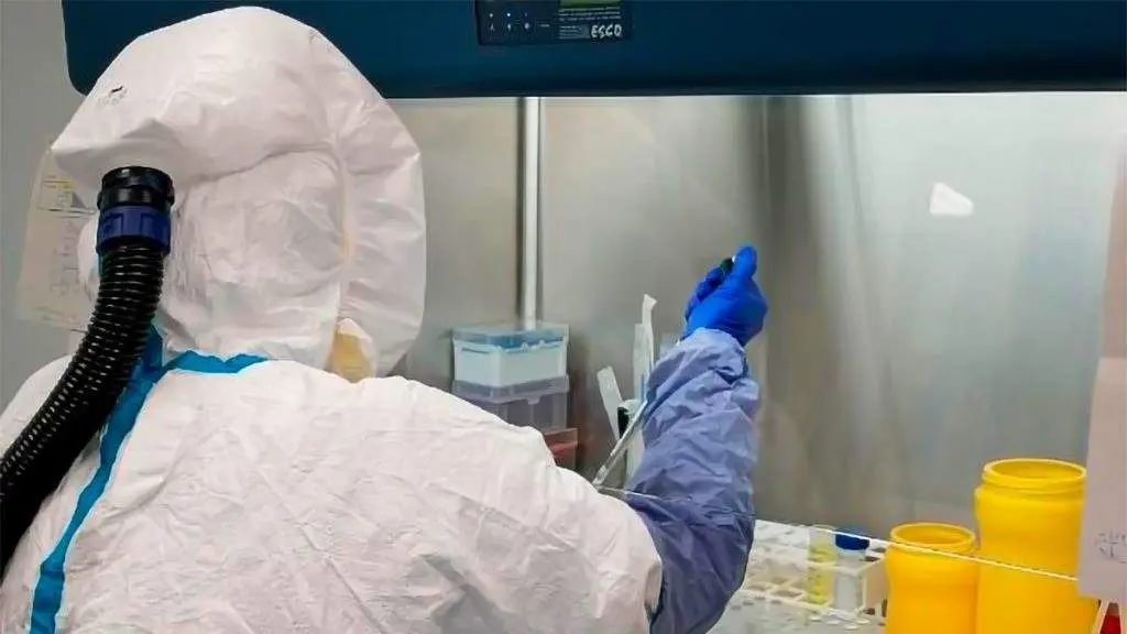 Investigador do CSIC traballando no laboratorio. (Foto: Europa Press)