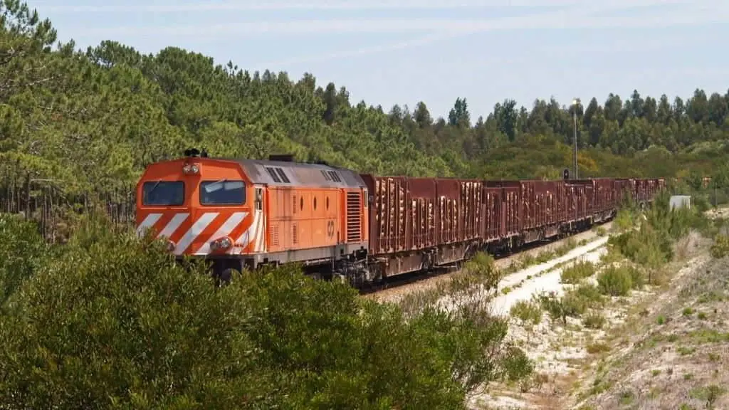 Eucalipto laminado, materia prima, chega en tren &aacute; unidade industrial de Altri en Figueira da Foz (Distrito de Coimbra, Portugal). (Foto: Altri).