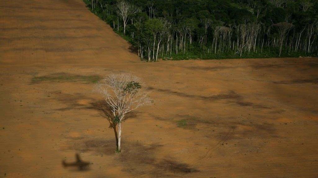 Zona deforestada na Amazonía brasileira (Foto: Daniel Beltra / Greenpeace vía Europa Press).
