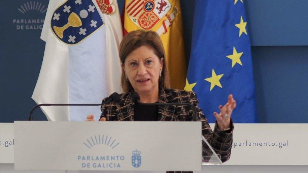 A deputada do PSdeG Elena Espinosa. (Foto: Europa Press)