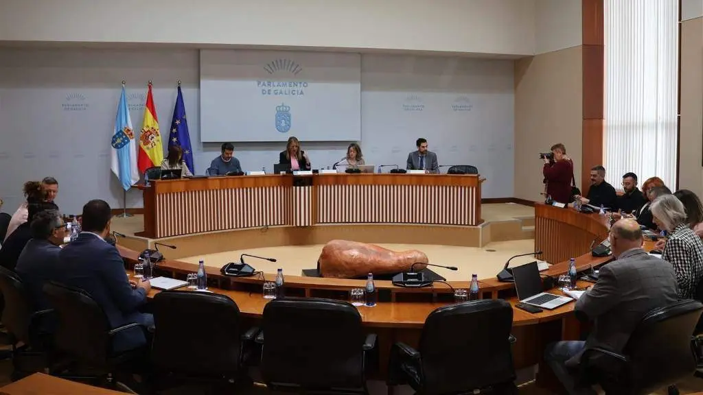 Comisi&oacute;n de Industria, esta quinta feira (Foto: Parlamento da Galiza).