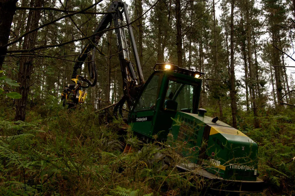forestal foto mikel arrazola