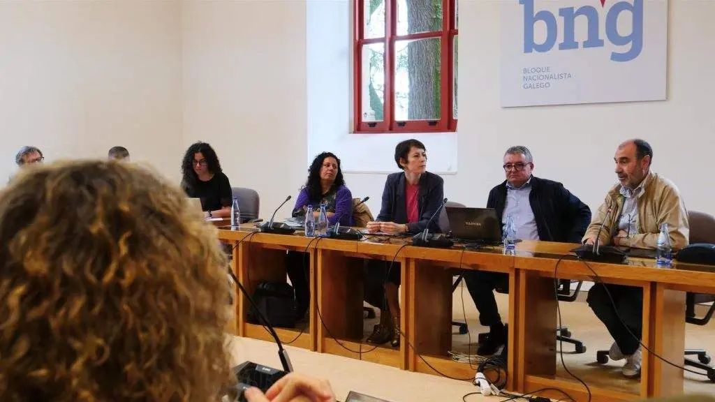Encontro do BNG no Parlamento para abordar a creaci&oacute;n dunha empresa p&uacute;blica de enerx&iacute;a. (Foto: Europa Press)