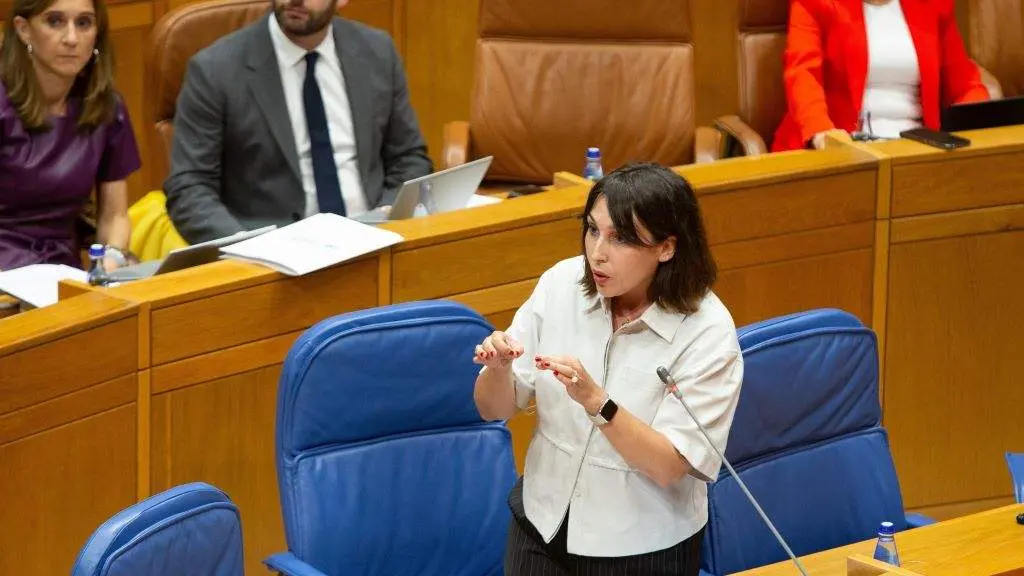 A conselleira de Econom&iacute;a, Mar&iacute;a Jes&uacute;s Lourenz&aacute;, esta cuarta feira, no Parlamento. (Foto: Xunta)