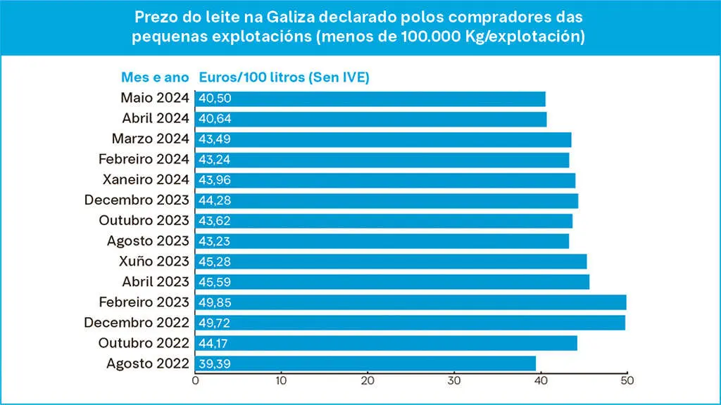 grafico-web