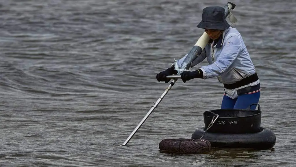Unha mariscadora a p&eacute; da Confrar&iacute;a de Noia durante unha xornada de traballo. (Foto: Pedro G. Losada)