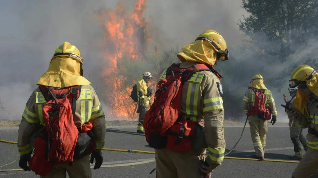Incendio forestal en Cea en agosto de 2024. (Foto: Rosa Veiga / Europa Press)