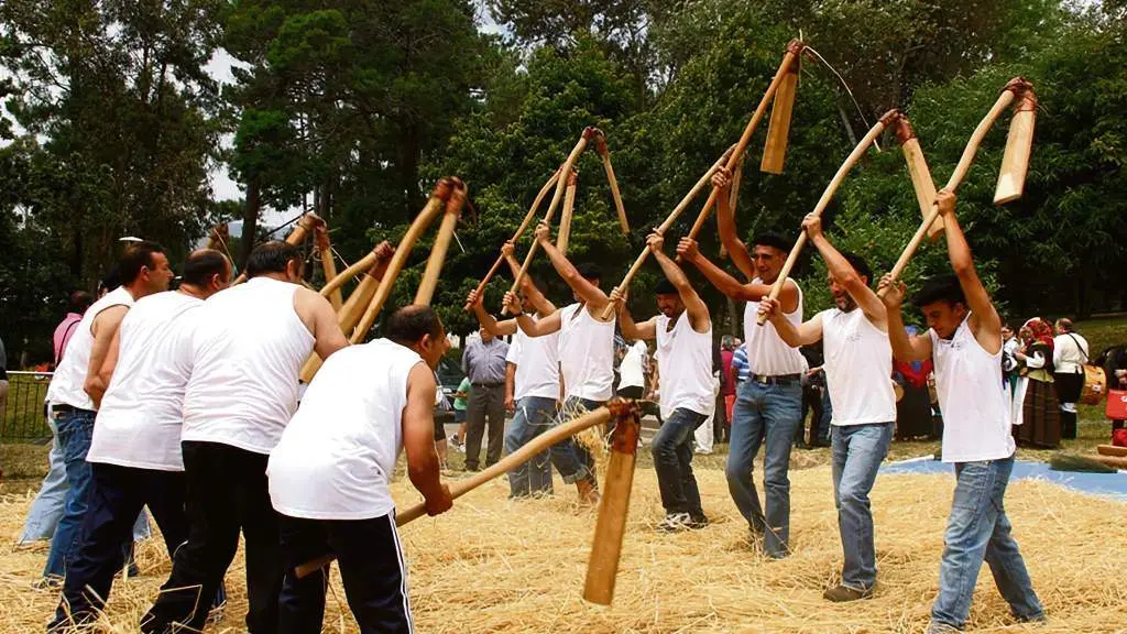 Festa da malla en Boiro (O Barbanza) nunha imaxe de arquivo. (Foto: Concello de Boiro)