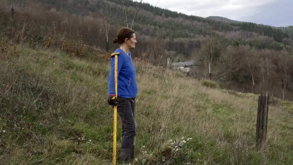 'Pura', de Carmen M&eacute;ndez, un dos filmes que compite na secci&oacute;n Supernova, dedicada ao cine emerxente da Galiza. (Foto: Yaq Distribuci&oacute;n)