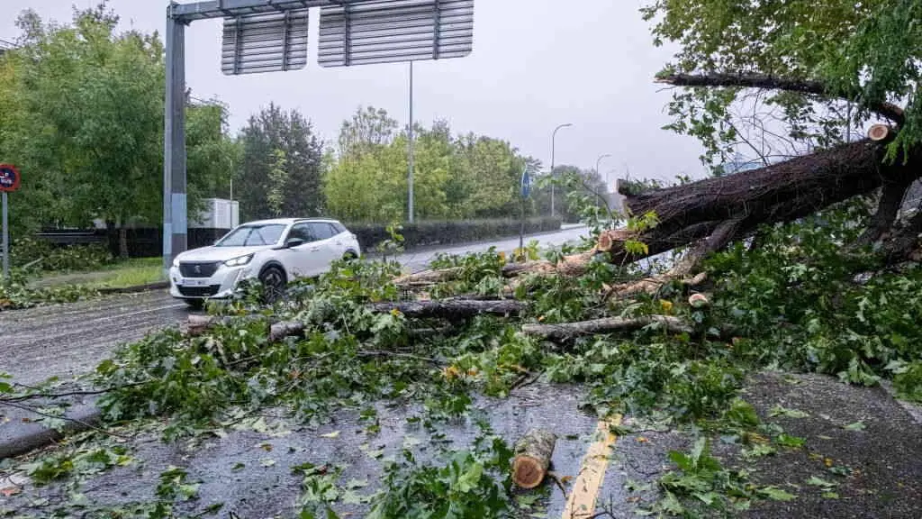 A ca&iacute;da de p&oacute;las e &aacute;rbores complicaron o tr&aacute;fico en varios puntos da Galiza. (Foto: Arxina)