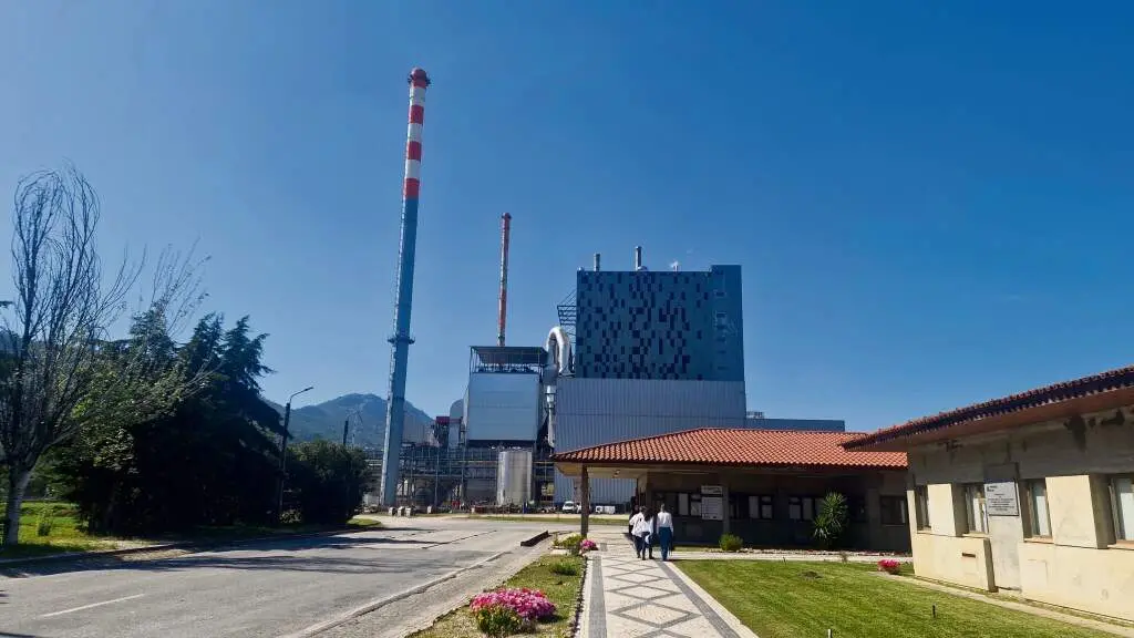 F&aacute;brica de Altri en Vila Velha de R&oacute;dao (Portugal). (Foto: Pedro Davila / Europa Press
