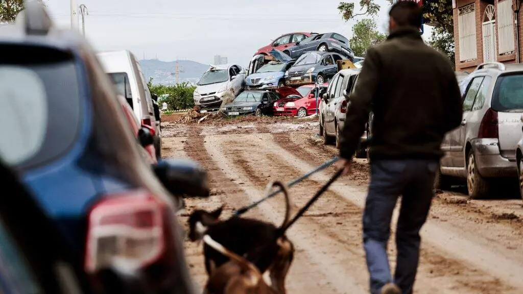 Un home pasea dous cans nunha zona afectada pola DINA en Paiporta (Val&egrave;ncia) o pasado 16 de novemebro. (Foto: Carlos Luj&aacute;n / Europa Press)