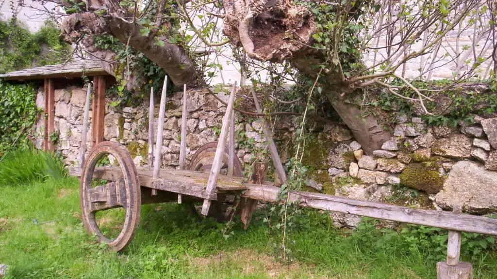 Carro galego en Santa Comba, Lugo. (Foto: Xelo)