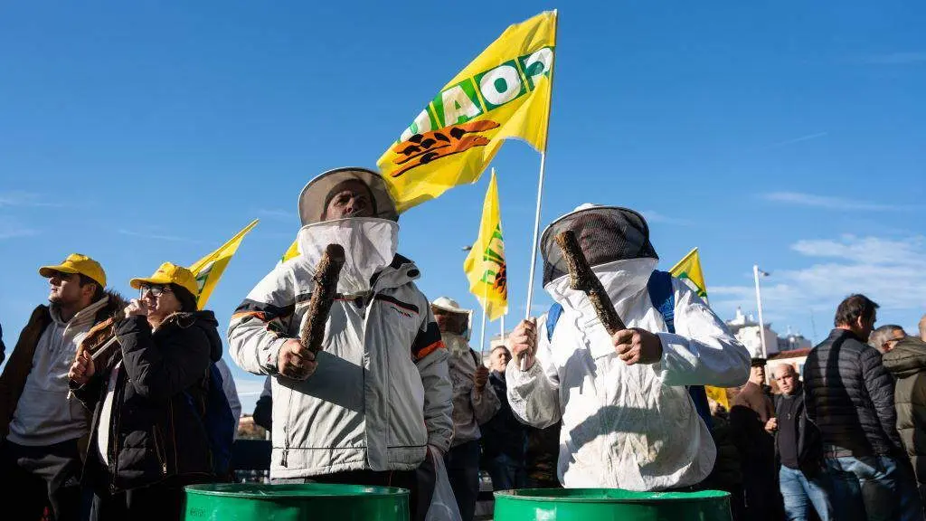 Apicultores durante unha protesta de agricultores e gandeiros fronte ao Ministerio de Agricultura o pasado 16 de decembro en Madrid. (Foto: Mat&iacute;as Chiofalo / Europa Press)