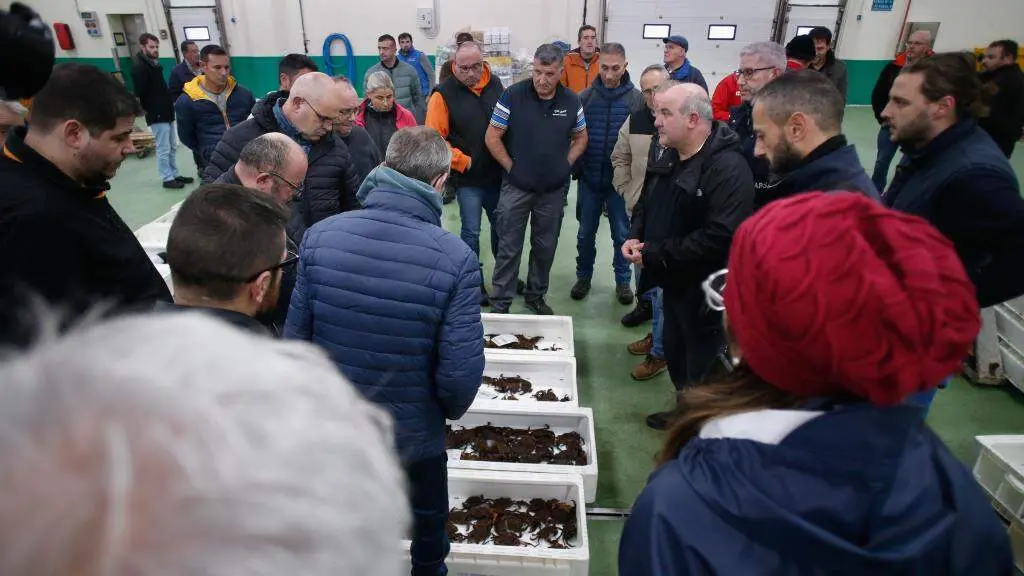 Poxa na lonxa de Burela, na Mari&ntilde;a, o pasado decembro. (Foto: Carlos Castro / Europa Press)