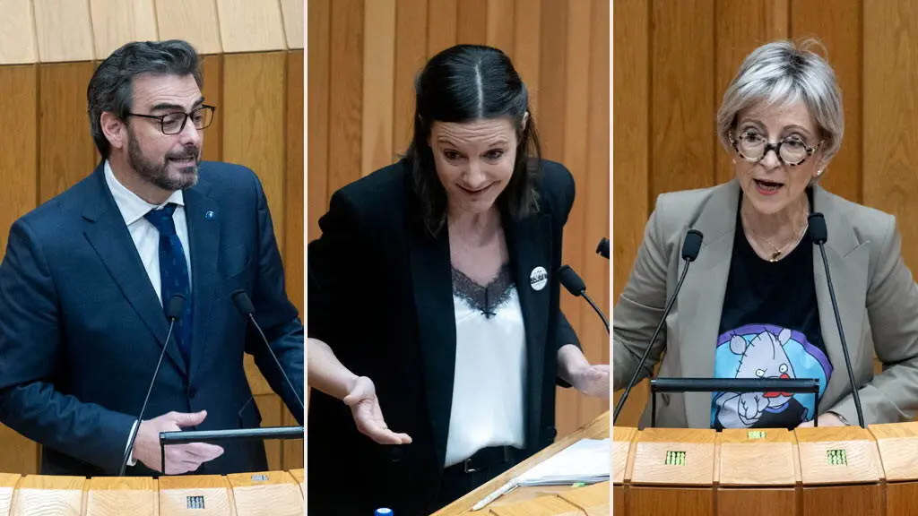 Diego Calvo, Olalla Rodil e Silvia Longueira este 28 de xaneiro no Parlamento da Galiza. (Foto: Arxina)