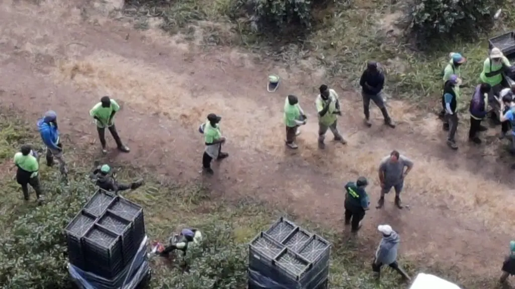 Inspecci&oacute;n da explotaci&oacute;n agr&iacute;cola de Begonte (A Terra Ch&aacute;) onde se identificaron 82 migrantes en situaci&oacute;n de explotaci&oacute;n labora. (Foto: Europa Press)