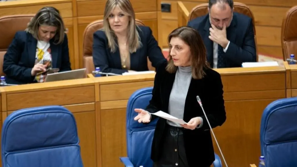 A conselleira do Medio Ambiente, &Aacute;ngeles V&aacute;zquez, esta cuarta feira, no Parlamento galego. (Foto: Xunta da Galiza)