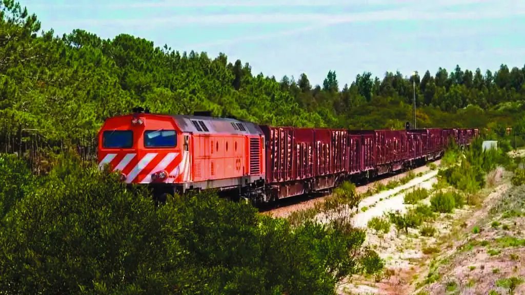 Eucalipto laminado, materia prima, chega en tren &aacute; unidade industrial de Altri en Figueira da Foz (distrito de Coimbra, Portugal). (Foto: Altri)