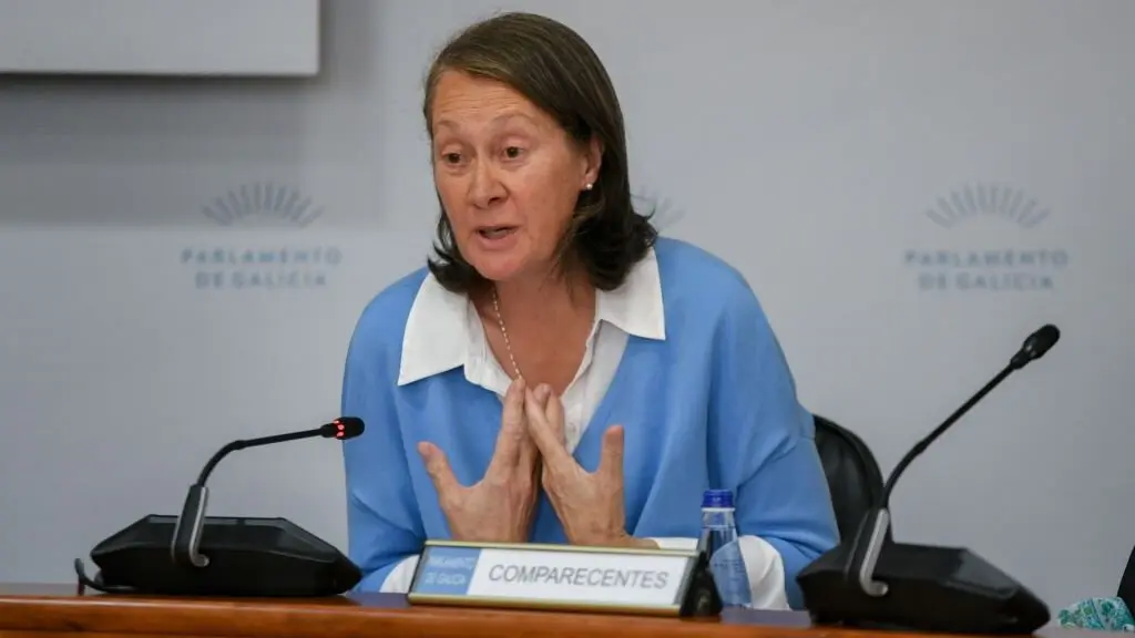 A directora xeral de Patrimonio Cultural, M&ordf; del Carmen Mart&iacute;nez, en comisi&oacute;n parlamentaria. (Foto: M&oacute;nica Arcay Carro)