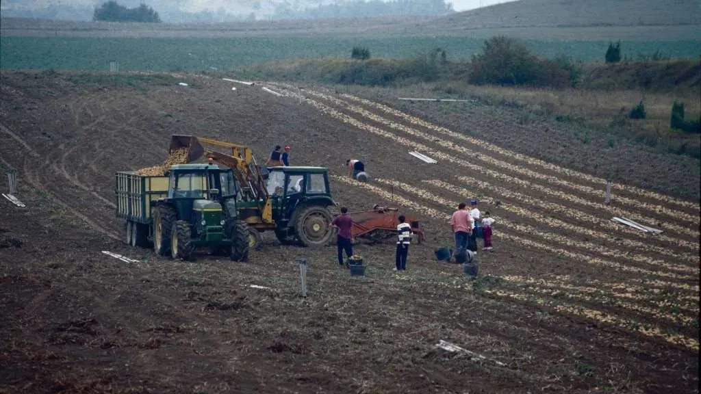 A Galiza ten medio mill&oacute;n de hect&aacute;reas de superficie agraria infrautilizadas. (Foto: M. Arrazola)
