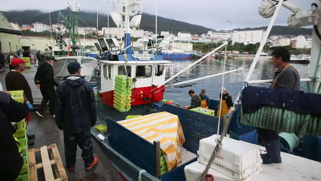 Descarga de sardi&ntilde;a no porto de Burela (A Mari&ntilde;a). (Foto: Carlos Castro / Europa Press)