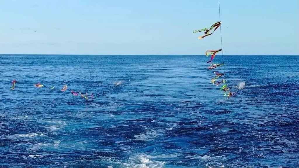 Decid&iacute;n subir &aacute; planta alta para tratar de relaxarme vendo o mar. (Foto: SEO - Birdlife)