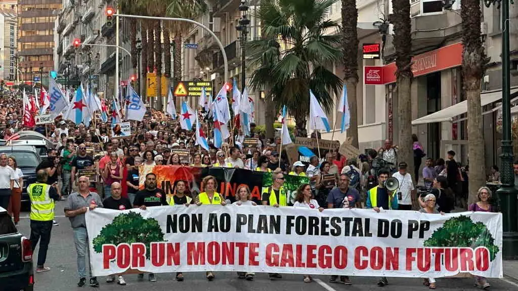 Mobilizaci&oacute;n contra a pol&iacute;tica forestal do PP en Vigo (Foto: N&oacute;s Diario)