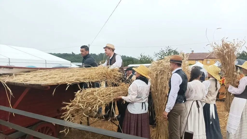 Recreaci&oacute;n do proceso da Malla durante a edici&oacute;n da festa de 2024. (Foto: Museo Casa do Patr&oacute;n)