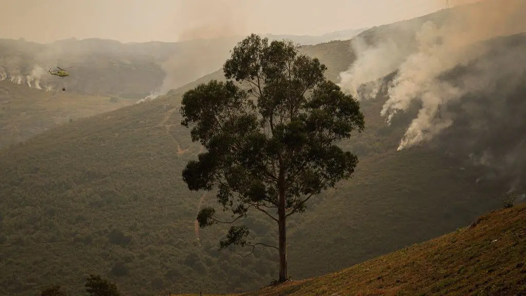 Efectivos a&eacute;reos dos bombeiros durante os labores de extinci&oacute;n do incendio de Avi&oacute;n (O Ribeiro). (Foto: Adri&aacute;n Irago / Europa Press)