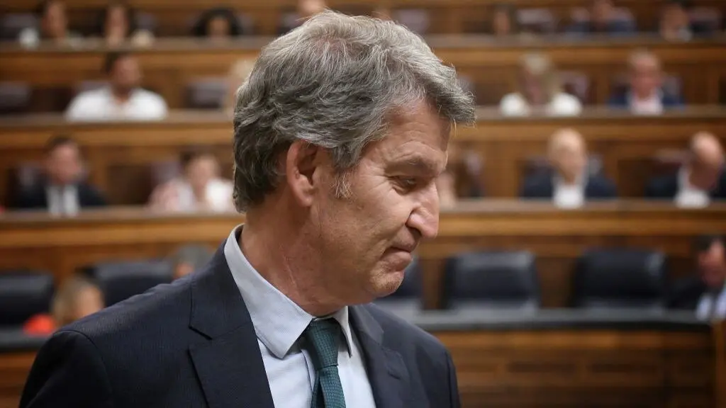 O presidente do PP, Alberto N&uacute;&ntilde;ez Feixoo, no Congreso. (Foto: Fernando S&aacute;nchez / Europa Press)