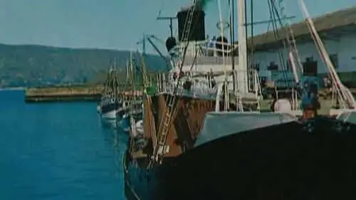 barcos