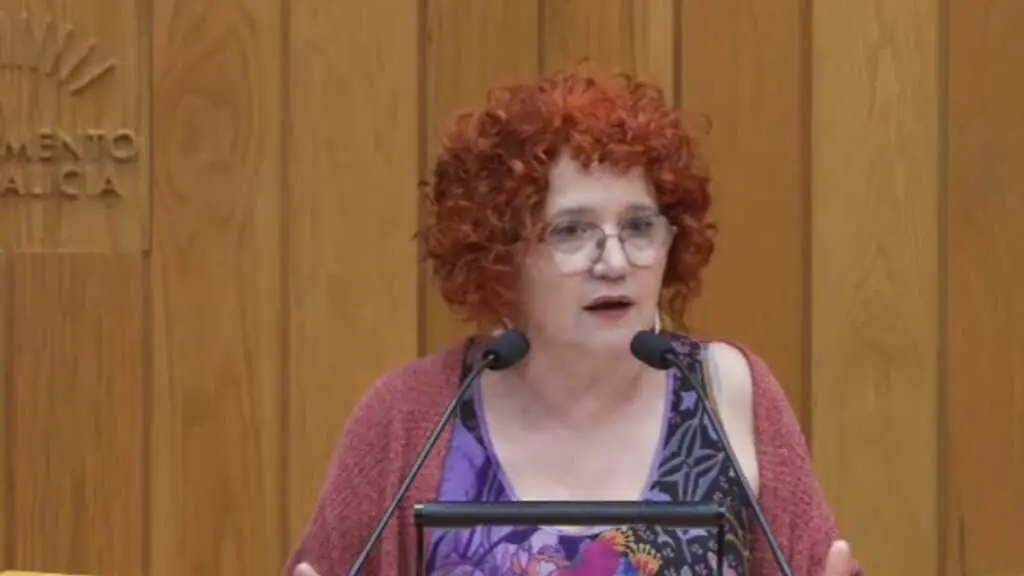Montse Prado, este 14 de outubro no Parlamento galego. (Foto: N&oacute;s Diario)