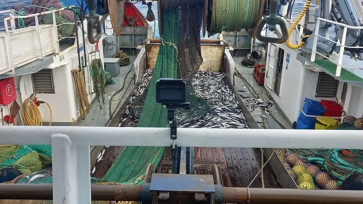 Barco pesqueiro galego. (Foto: IEO)