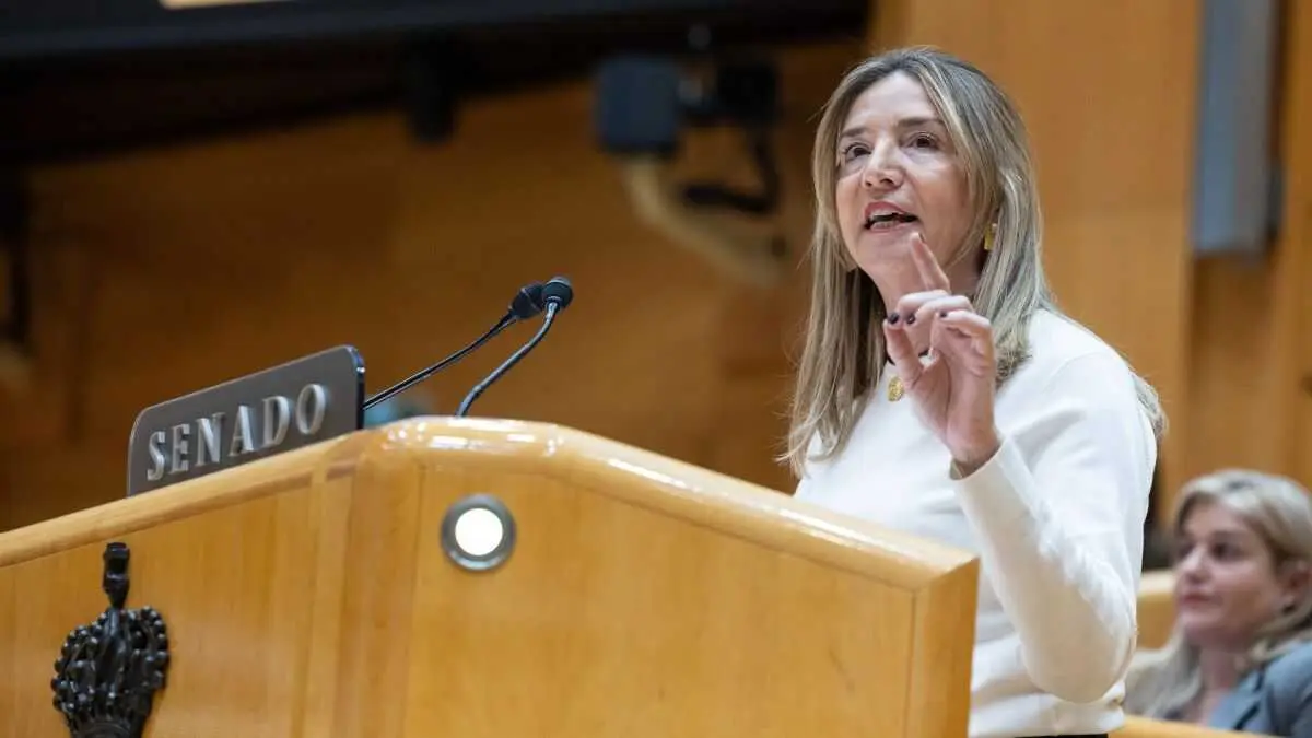 A portavoz do PP no Senado, Alicia Garc&iacute;a, o pasado mes de decembro na C&aacute;mara Alta. (Foto: Ananda Manj&oacute;n / Europa Press)