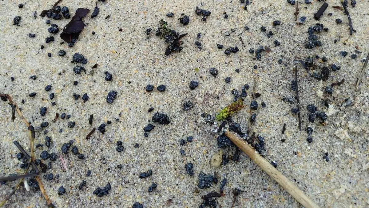 Bolas de chapapote na praia de Queirugas. (Foto: N&oacute;s Diario)