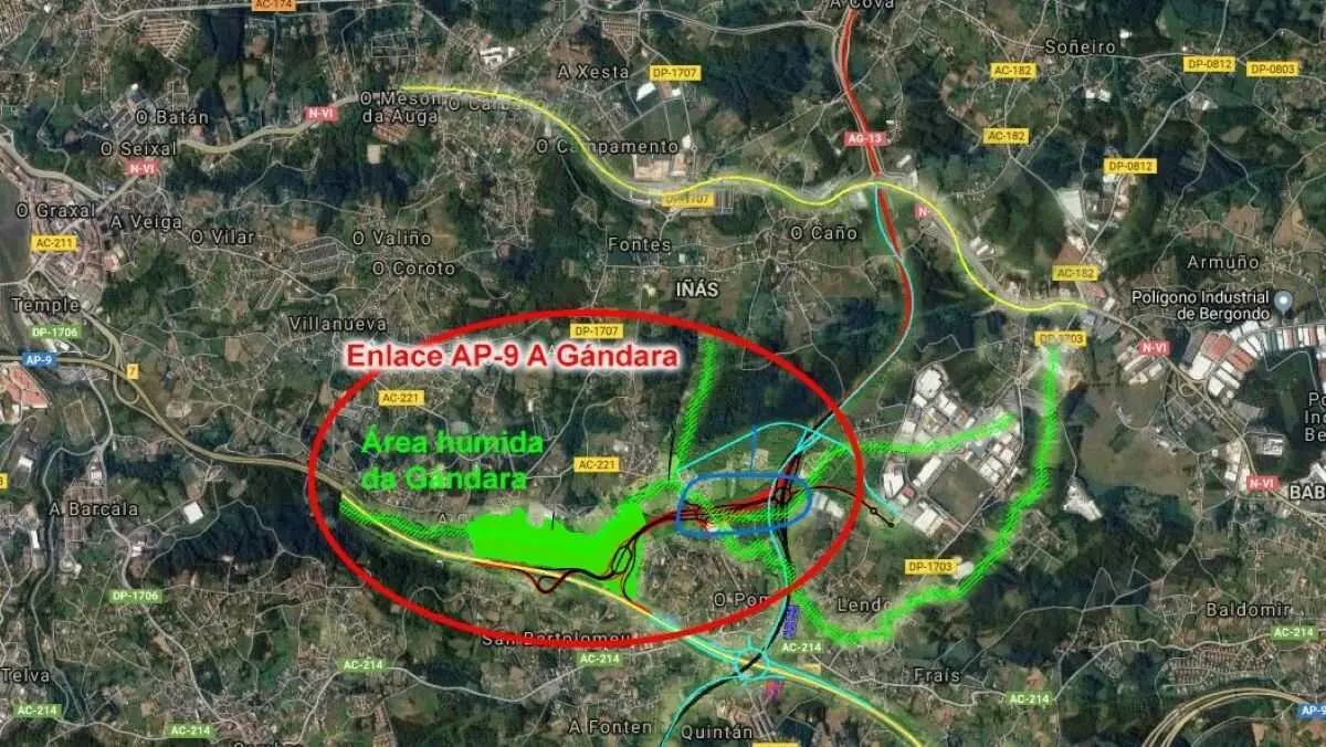Zona do humidal da G&aacute;ndara. (Foto: Adega)
