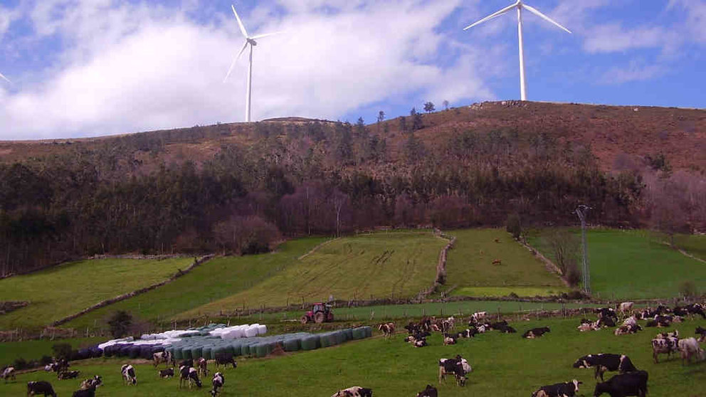Muíños eólicos de gran tamaño a carón dunha explotación gandeira no parque Pico del Cuervo, El Cogollu, Asturies (Asociación libre de mulleres a Cooredoira).