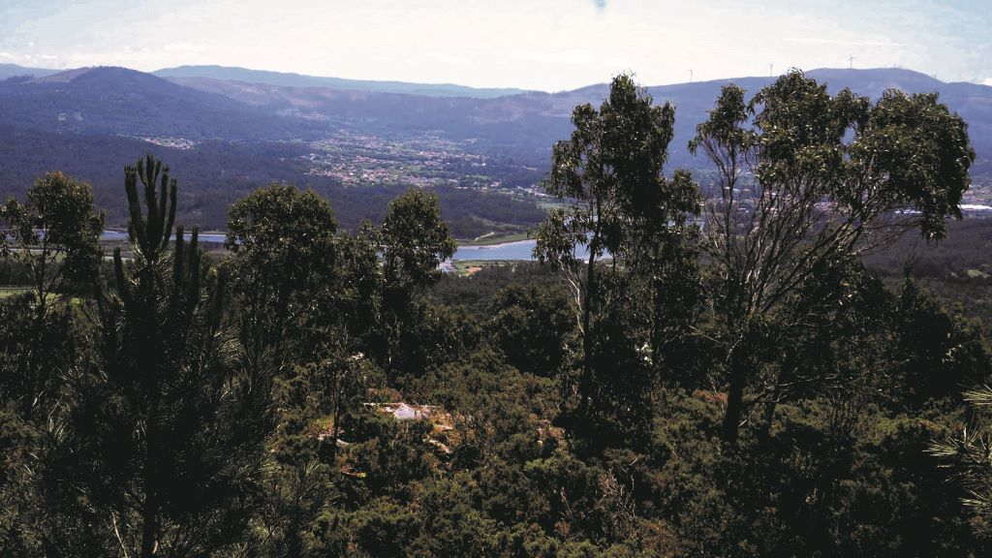 Monte comunal na contorna  do Castro de Bexo, no concello de Dodro. (Foto: Verdegaia).
