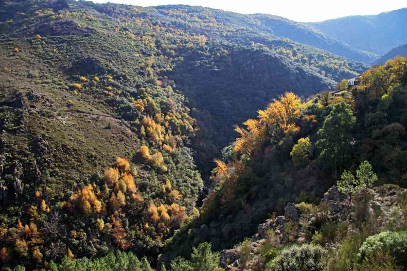 Os cambios na vexetación fan que a paisaxe adquira distintos matices que varían en cada época do ano. O outono pon de relevo as distintas especies de árbores.