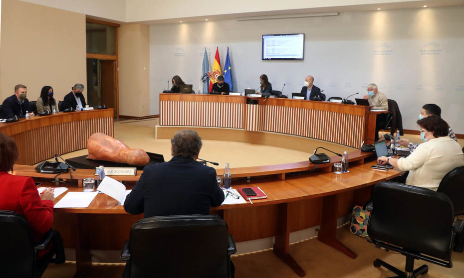 Comisión non permanente especial de estudo
para abordar a proposta da Comunidade Autónoma de Galicia diante da
reforma do sistema de financiamento. Xose Diaz