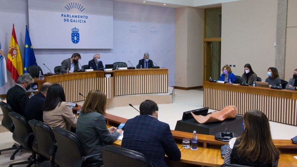 Reunión da deputación permanente do Parlamento. (Foto: Parlamento da Galiza)