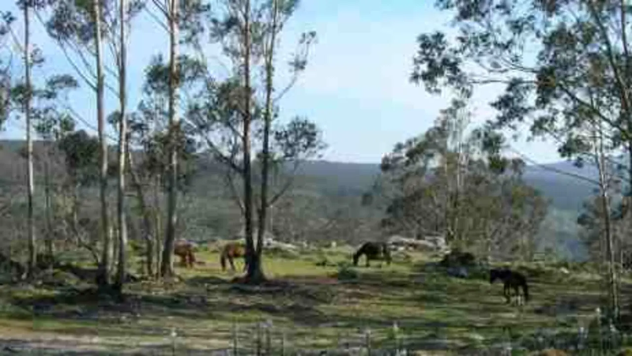 Serra da Groba