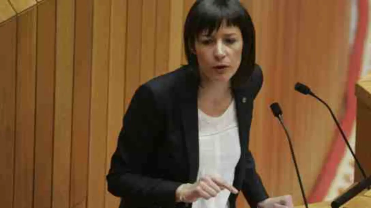 Ana Pont&oacute;n no Parlamento