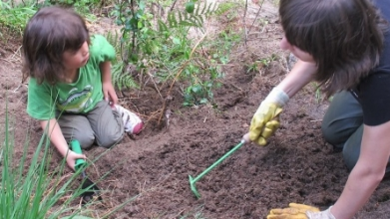 Natureza, ecoloxismo, medio, ambiente, terra
