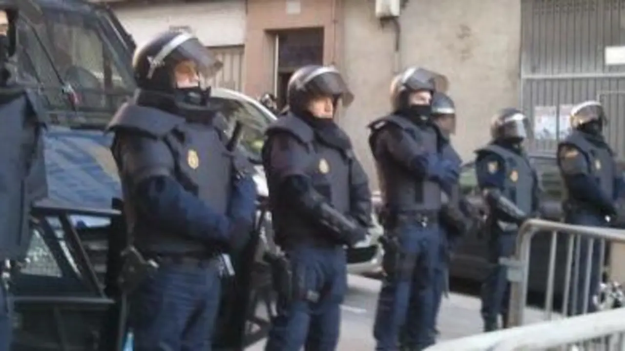 despexo5_capa