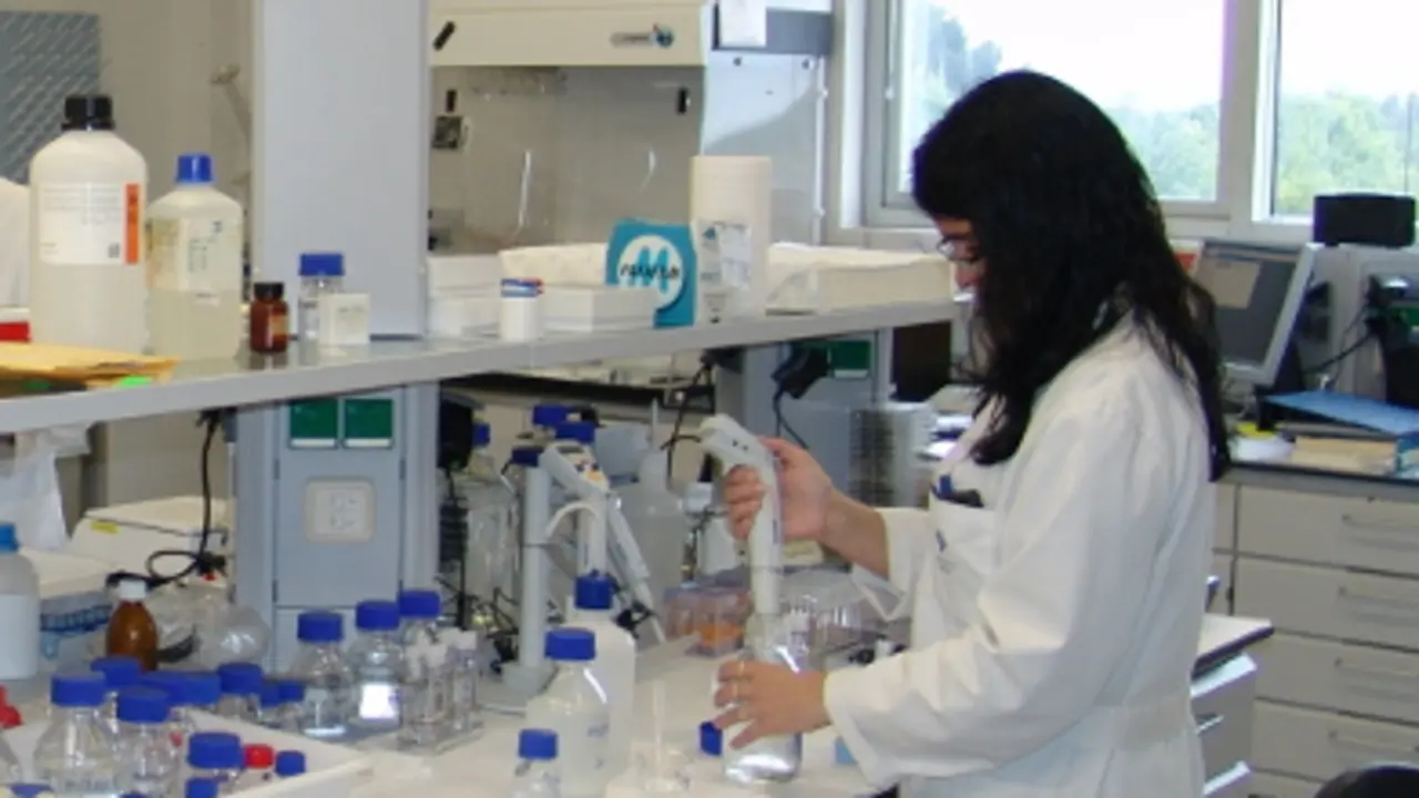 laboratorio