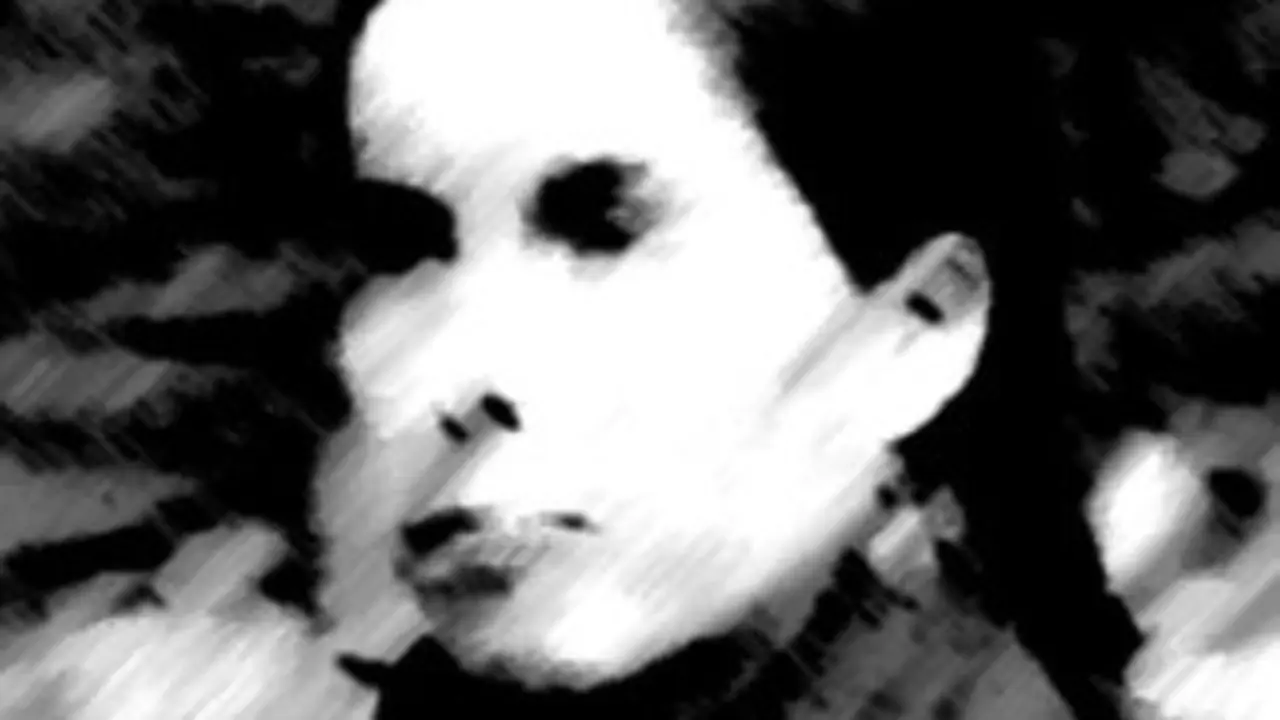 Fragmento da portada do libro 